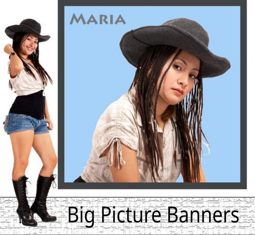 Big picture banners - banners,